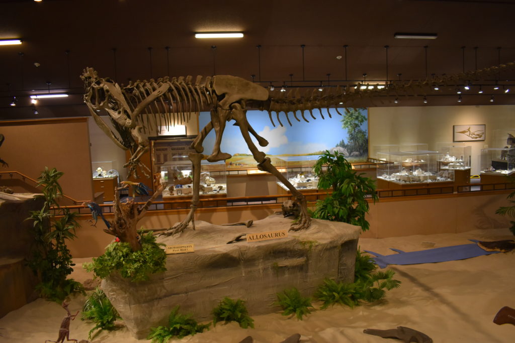 Dakota Dinosaur Museum – Daniel H Thompson